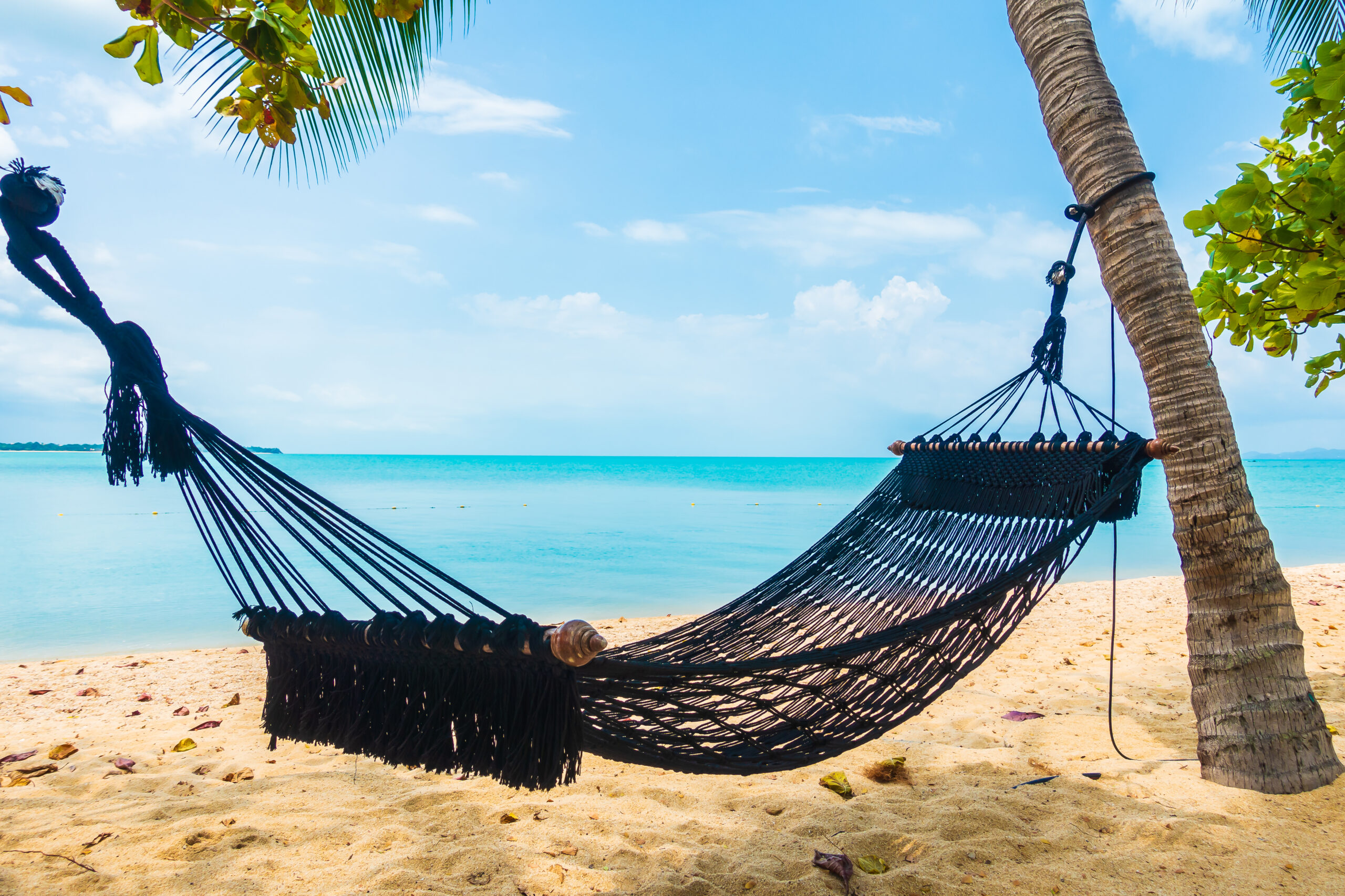 Empty Hammock Swing Around Beach Sea Ocean With White Cloud Blue Empty Hammock Swing Around Beach Sea Ocean With White Cloud Blue